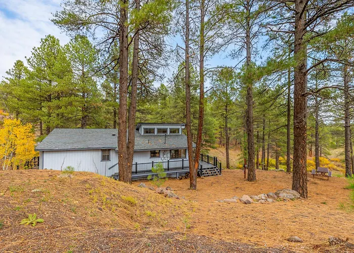 Forest Retreat Overlooking A Meadow Pond Villa
