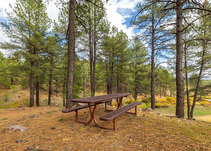 Forest Retreat Overlooking A Meadow Pond Villa Flagstaff