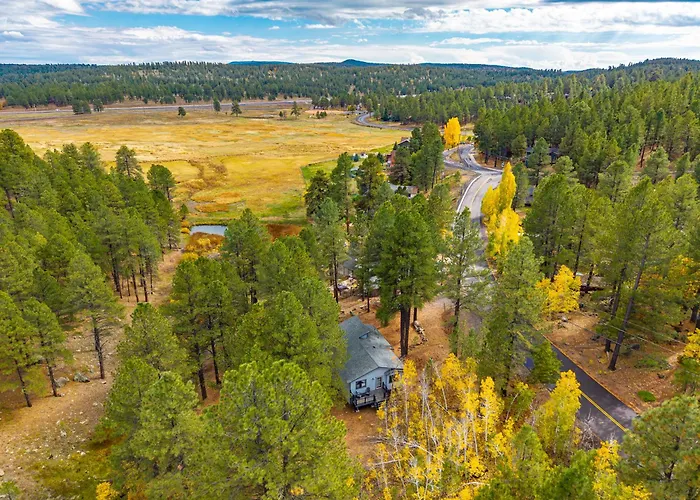 Forest Retreat Overlooking A Meadow Pond *