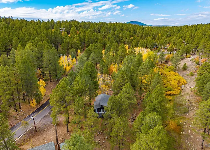 Villa Forest Retreat Overlooking A Meadow Pond