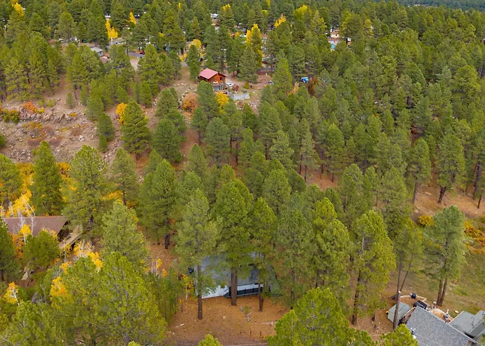 Villa Forest Retreat Overlooking A Meadow Pond Flagstaff