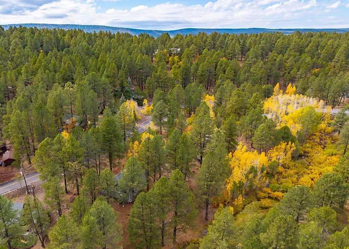 Forest Retreat Overlooking A Meadow Pond Flagstaff