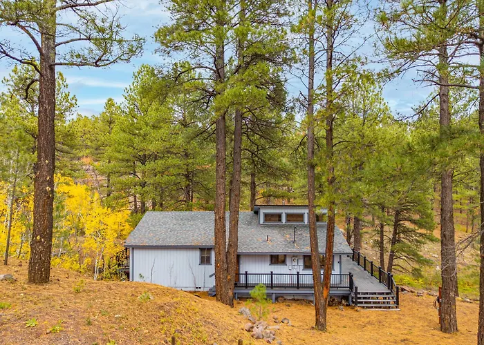 Forest Retreat Overlooking A Meadow Pond Villa *